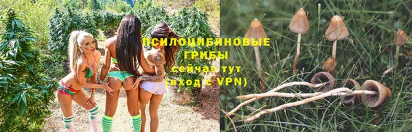 таблы Горно-Алтайск