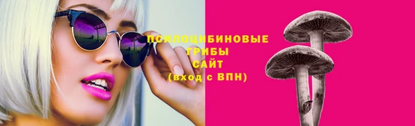 прущая мука Горняк