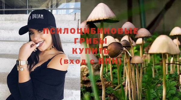 таблы Горно-Алтайск