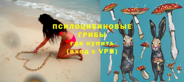 прущая мука Горняк